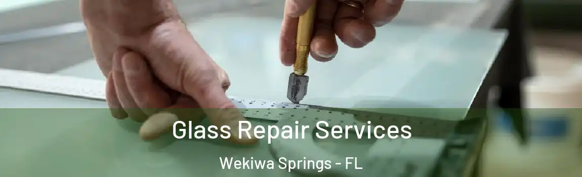  Glass Repair Services Wekiwa Springs - FL