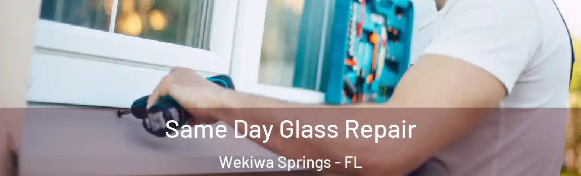  Same Day Glass Repair Wekiwa Springs - FL